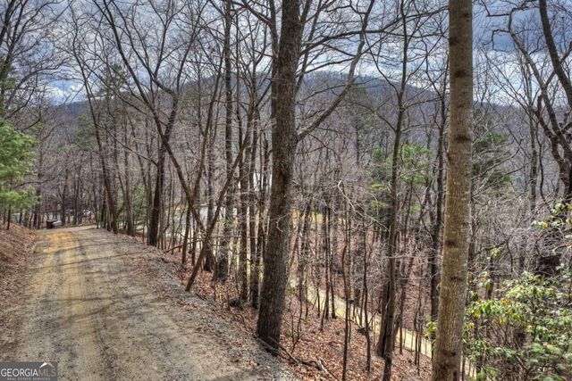 LOT 29 Forest Drive, Morganton, GA 30560