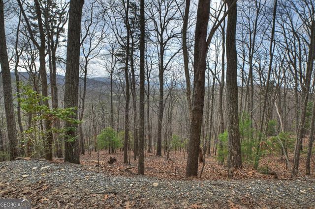 LOT 29 Forest Drive, Morganton, GA 30560