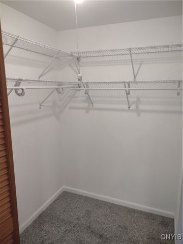 153 Watertree Drive, Dewitt, NY 13057