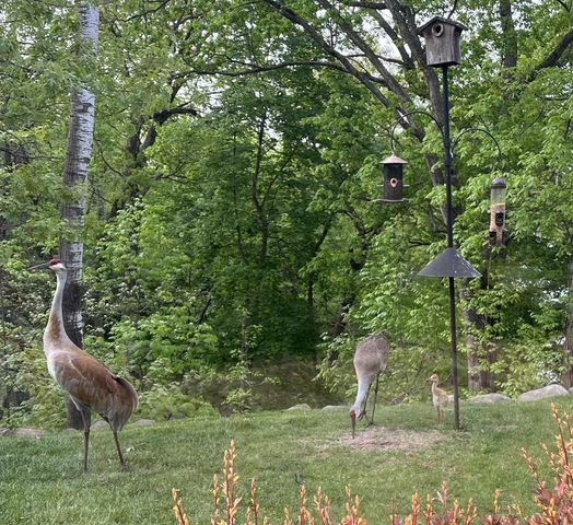 W1969 Itsa Little ROAD, Mukwonago, WI 53149
