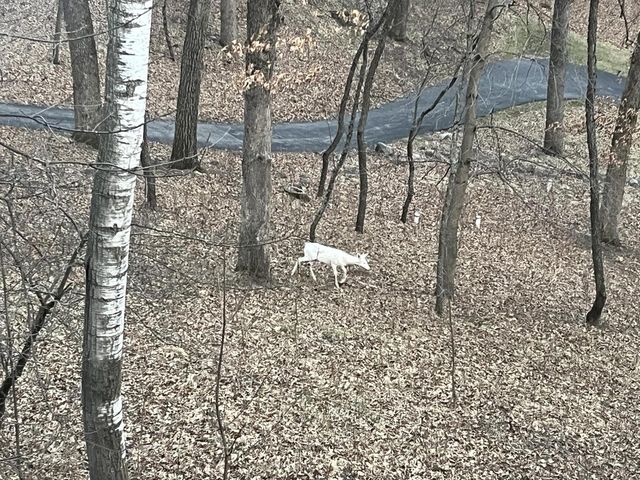 W1969 Itsa Little ROAD, Mukwonago, WI 53149