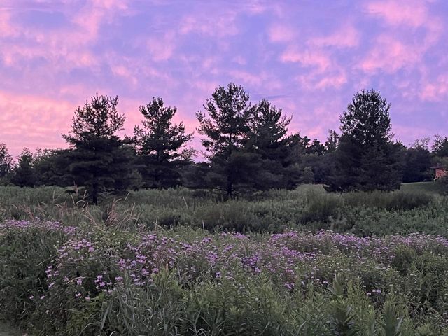 W1969 Itsa Little ROAD, Mukwonago, WI 53149
