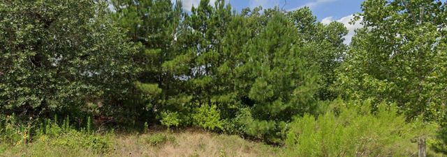 000 Kipahulu LN, Bastrop, TX 78602