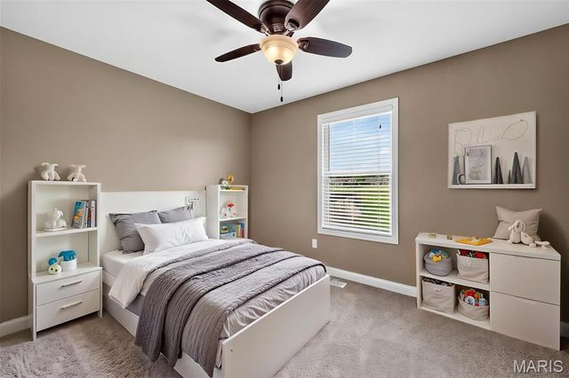 159 Shadow Pointe Drive, Wentzville, MO 63385