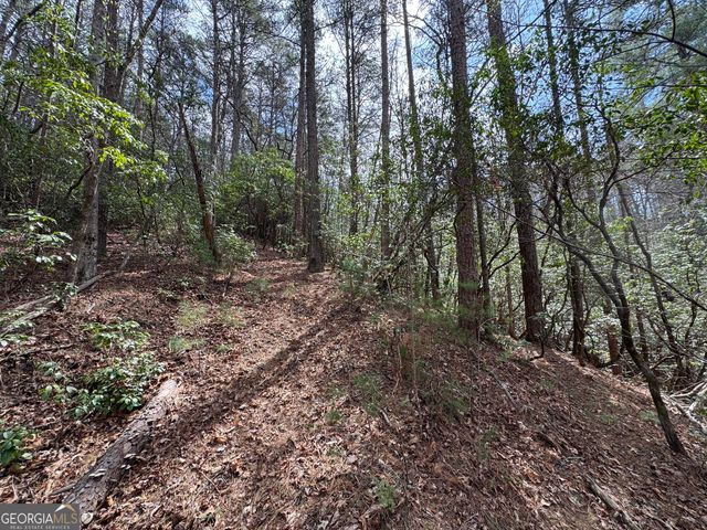 0 Grizzly Bear Trail, Sautee Nacoochee, GA 30571