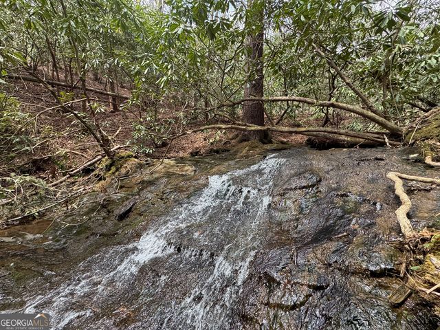0 Grizzly Bear Trail, Sautee Nacoochee, GA 30571