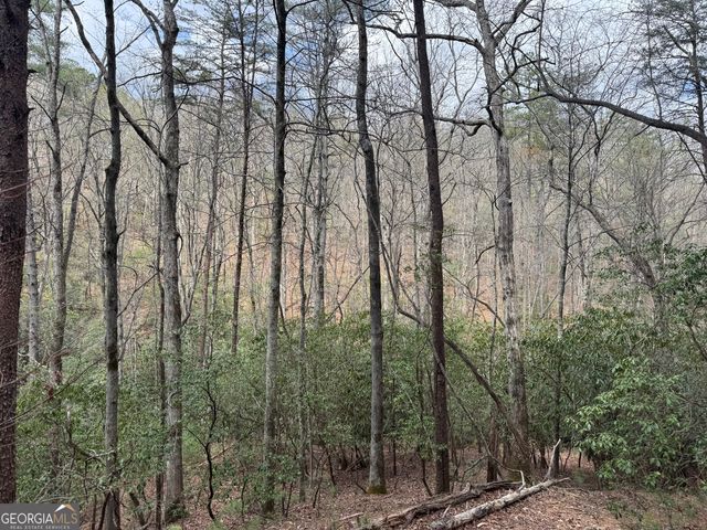 0 Grizzly Bear Trail, Sautee Nacoochee, GA 30571
