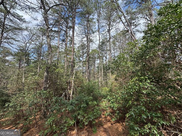 0 Grizzly Bear Trail, Sautee Nacoochee, GA 30571
