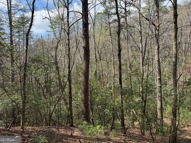 0 Grizzly Bear Trail, Sautee Nacoochee, GA 30571