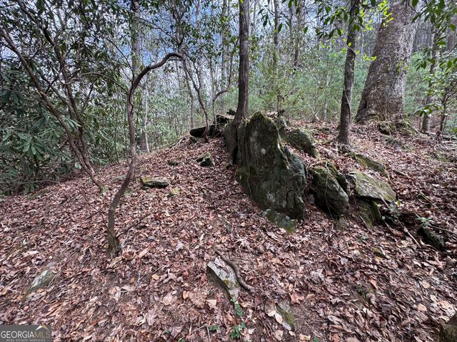 0 Grizzly Bear Trail, Sautee Nacoochee, GA 30571