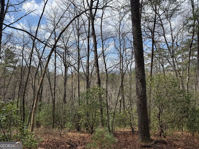 0 Grizzly Bear Trail, Sautee Nacoochee, GA 30571