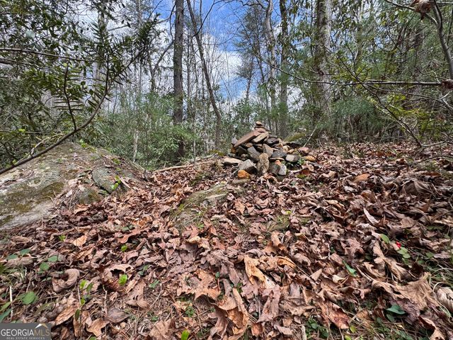 0 Grizzly Bear Trail, Sautee Nacoochee, GA 30571