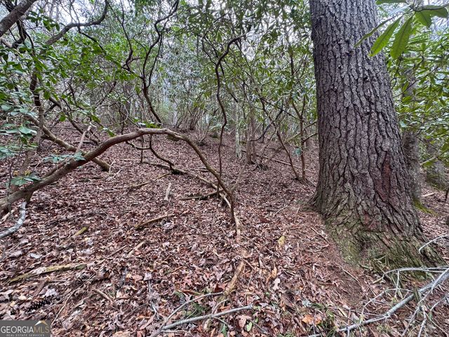 0 Grizzly Bear Trail, Sautee Nacoochee, GA 30571
