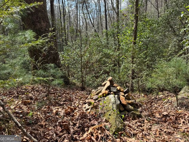 0 Grizzly Bear Trail, Sautee Nacoochee, GA 30571
