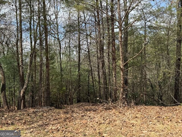 0 Grizzly Bear Trail, Sautee Nacoochee, GA 30571
