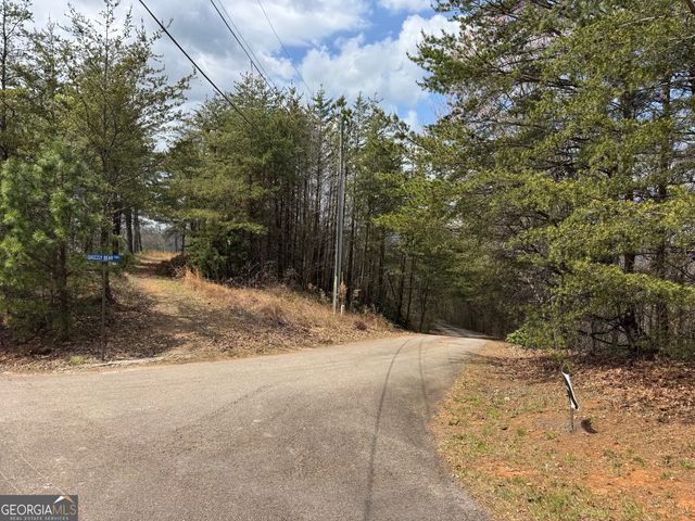 0 Grizzly Bear Trail, Sautee Nacoochee, GA 30571
