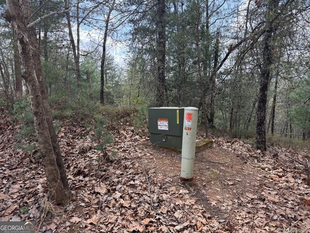 0 Grizzly Bear Trail, Sautee Nacoochee, GA 30571