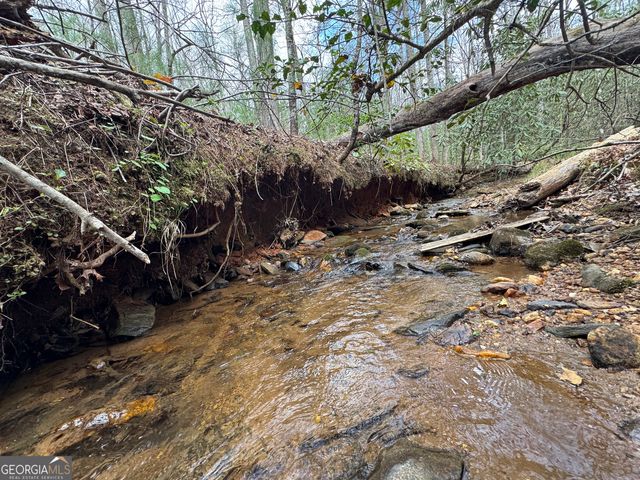 0 Grizzly Bear Trail, Sautee Nacoochee, GA 30571
