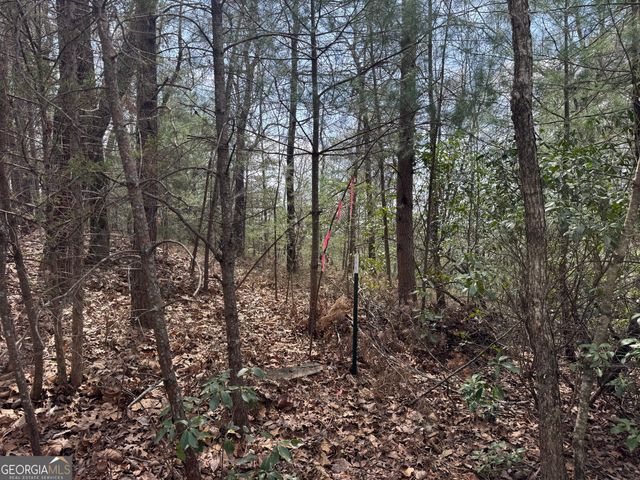 0 Grizzly Bear Trail, Sautee Nacoochee, GA 30571