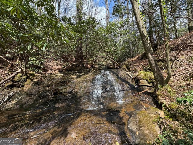 0 Grizzly Bear Trail, Sautee Nacoochee, GA 30571