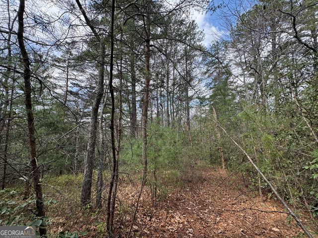 0 Grizzly Bear Trail, Sautee Nacoochee, GA 30571