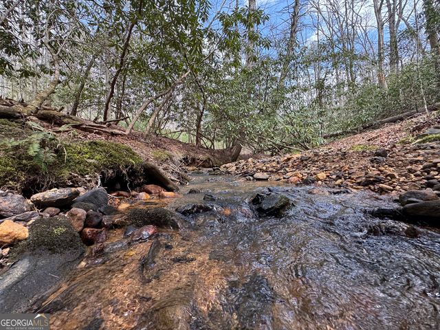 0 Grizzly Bear Trail, Sautee Nacoochee, GA 30571