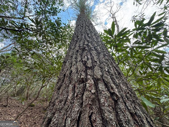 0 Grizzly Bear Trail, Sautee Nacoochee, GA 30571