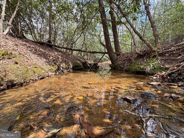 0 Grizzly Bear Trail, Sautee Nacoochee, GA 30571