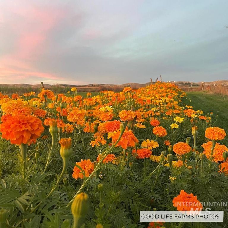 5600 W Beacon Light Rd, Eagle, ID 83616 photo 18