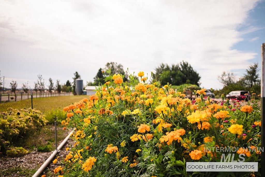 5600 W Beacon Light Rd, Eagle, ID 83616 photo 21