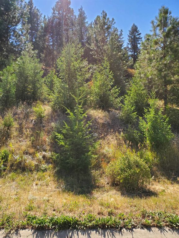 1525 W Carl J Ln, Spokane, WA 99218 photo 5