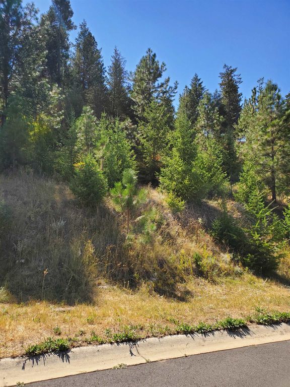 1525 W Carl J Ln, Spokane, WA 99218 photo 6