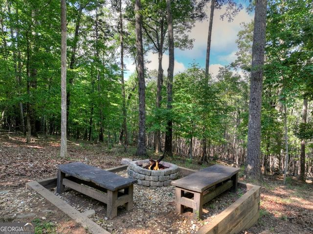 187 Hayden Way Drive, Morganton, GA 30560
