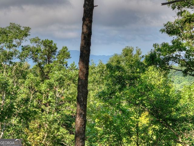 187 Hayden Way Drive, Morganton, GA 30560
