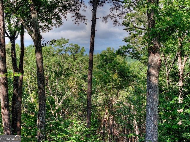 187 Hayden Way Drive, Morganton, GA 30560