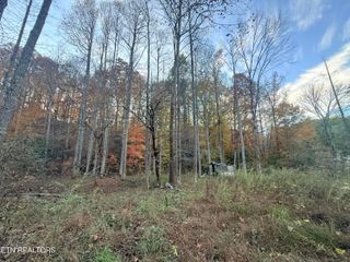 Lot 42/43 Deerfoot Rd, Newport, TN 37821