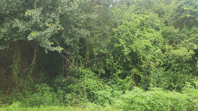Lot 61 Greenfield Road, Hempstead, TX 77445