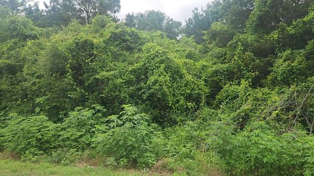 Lot 61 Greenfield Road, Hempstead, TX 77445
