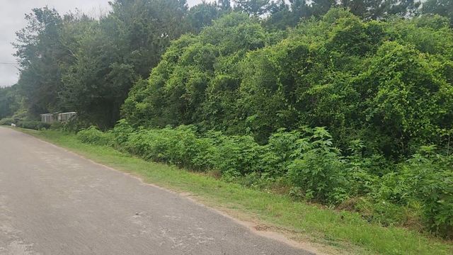 Lot 61 Greenfield Road, Hempstead, TX 77445
