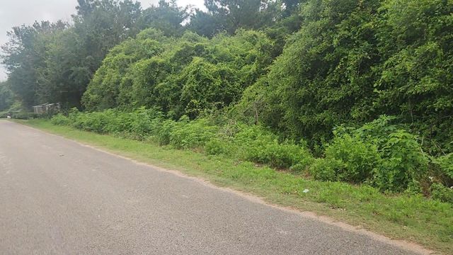 Lot 61 Greenfield Road, Hempstead, TX 77445