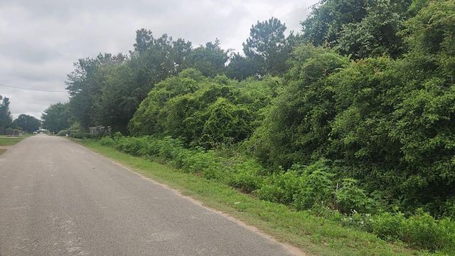 Lot 61 Greenfield Road, Hempstead, TX 77445