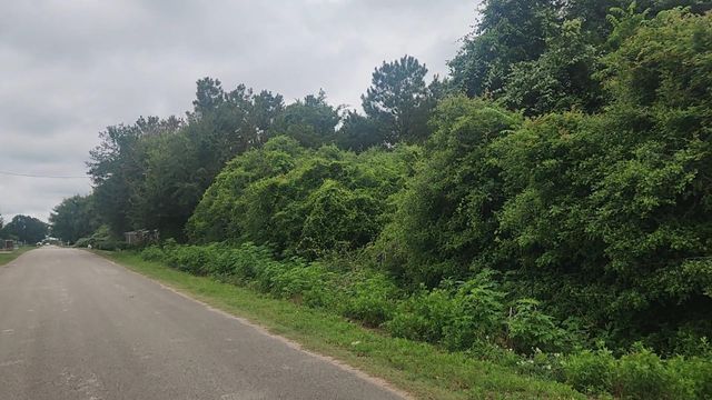 Lot 61 Greenfield Road, Hempstead, TX 77445