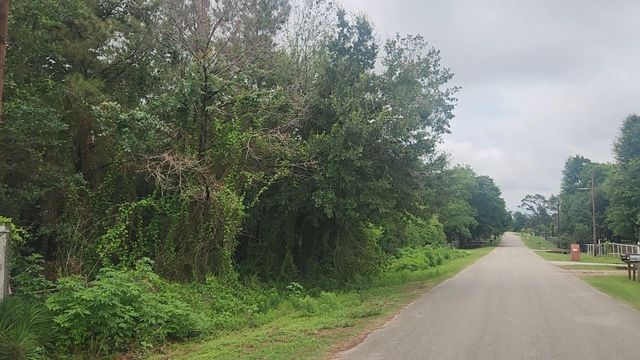Lot 61 Greenfield Road, Hempstead, TX 77445