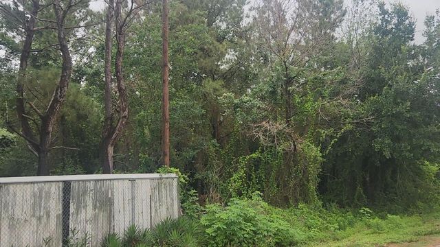 Lot 61 Greenfield Road, Hempstead, TX 77445
