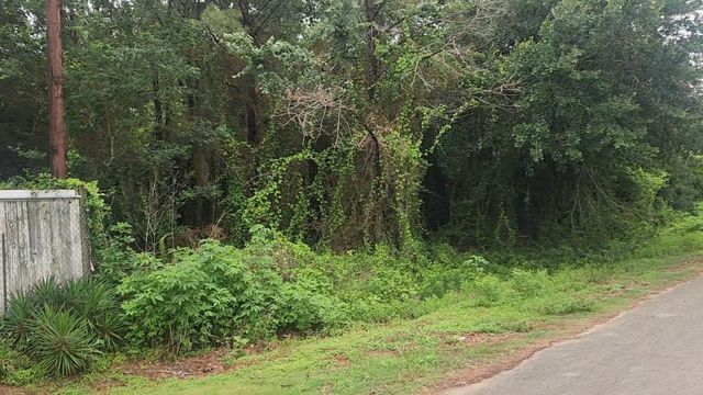 Lot 61 Greenfield Road, Hempstead, TX 77445