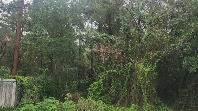 Lot 61 Greenfield Road, Hempstead, TX 77445