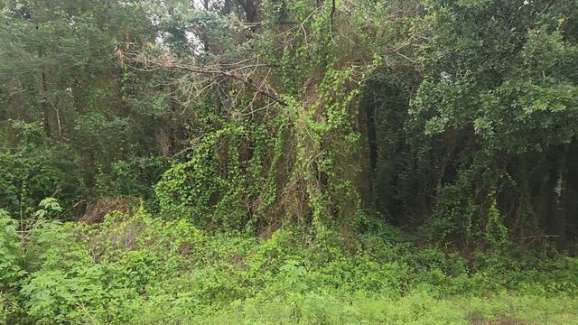 Lot 61 Greenfield Road, Hempstead, TX 77445