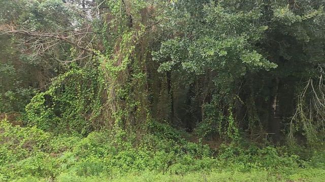 Lot 61 Greenfield Road, Hempstead, TX 77445