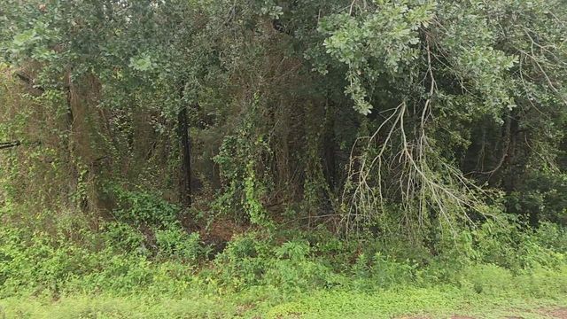 Lot 61 Greenfield Road, Hempstead, TX 77445