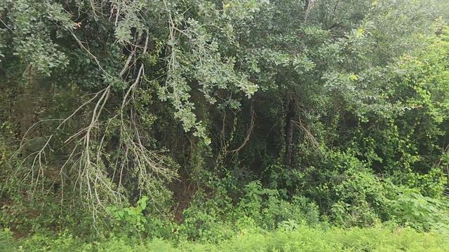 Lot 61 Greenfield Road, Hempstead, TX 77445